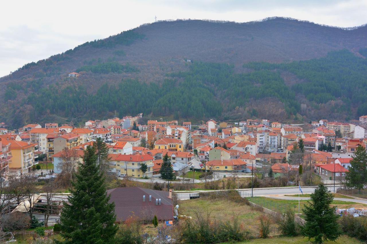 King Alexander Hotel Florina Eksteriør billede
